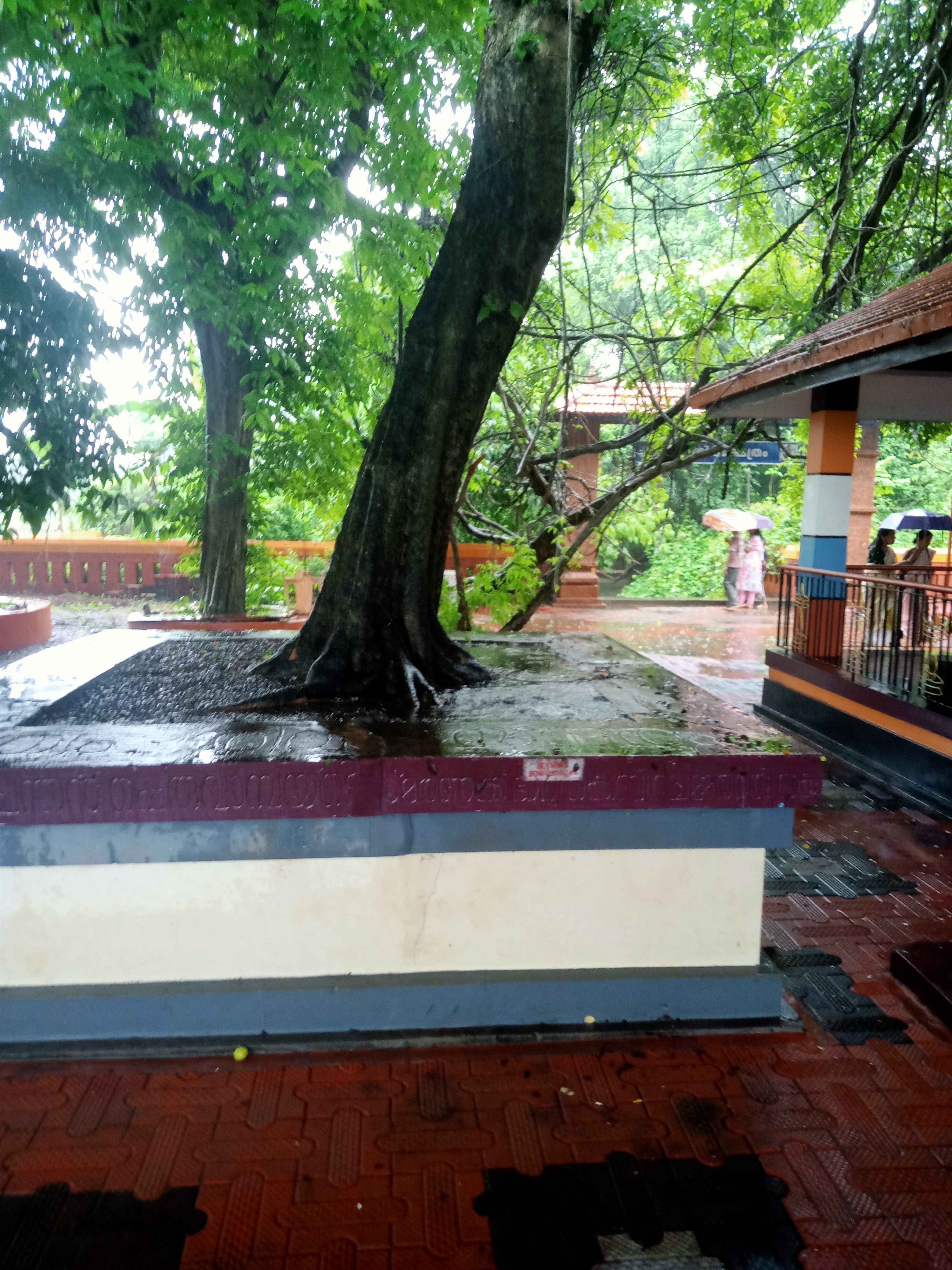 MEENKULAM SREEKRISHNA TEMPLE gallery 2