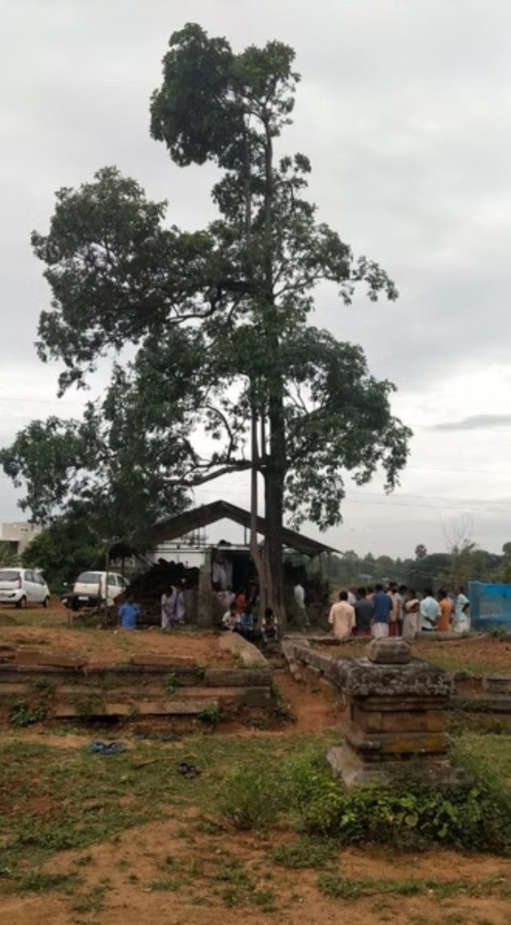 Panniyankara Bhagavathi Temple gallery 5