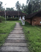 Poyilikavu Sree Karinkali Temple gallery 4