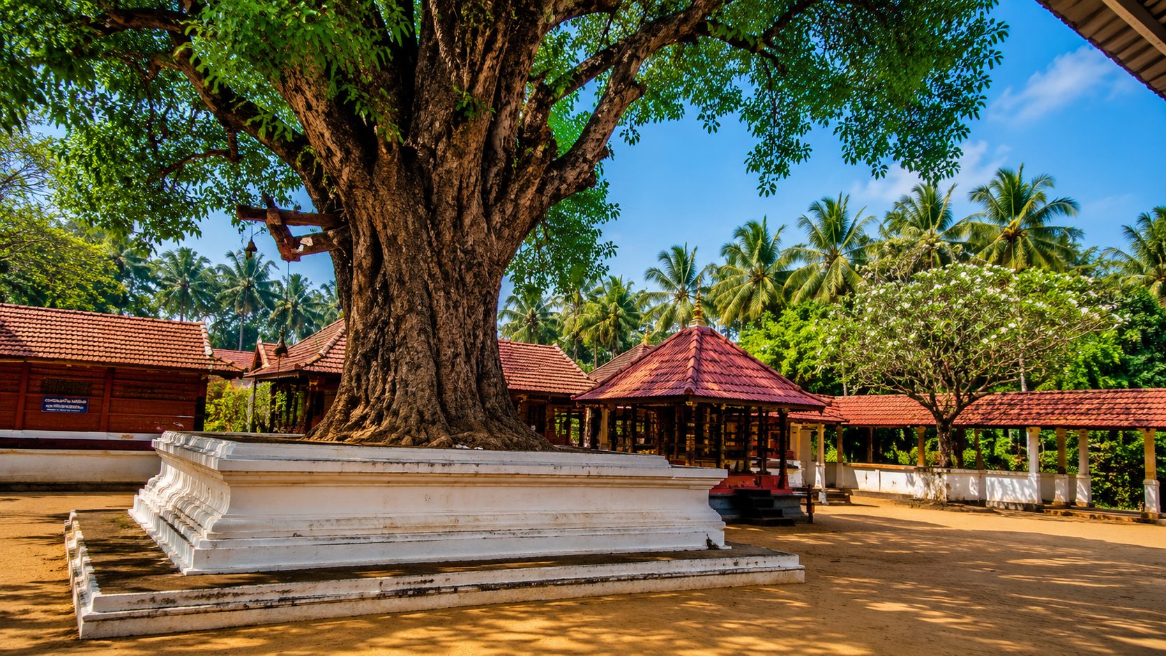 Sree Andaloor Kavu gallery 6