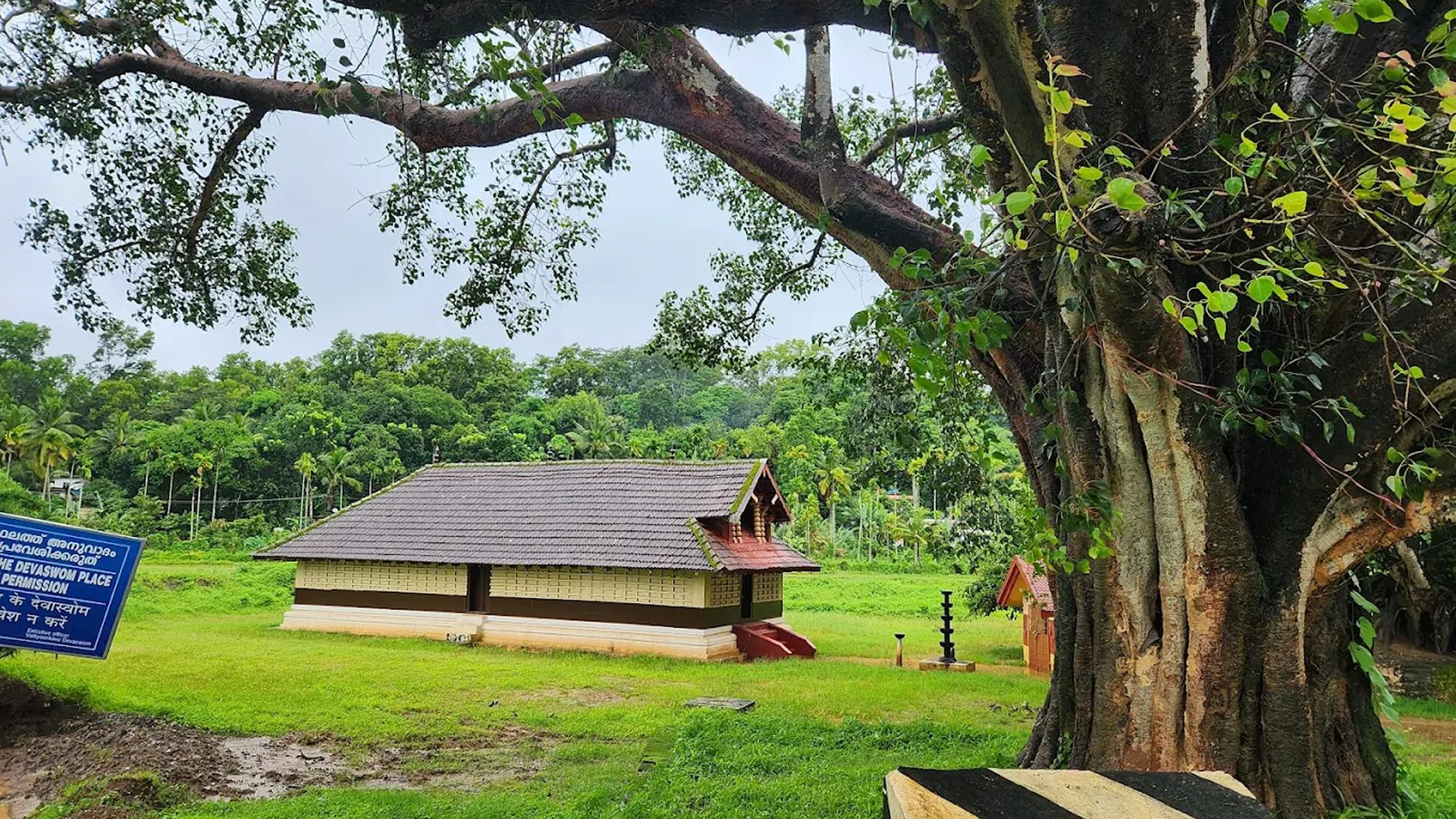 Valliyoorkavu Bhagavathy Temple gallery 4