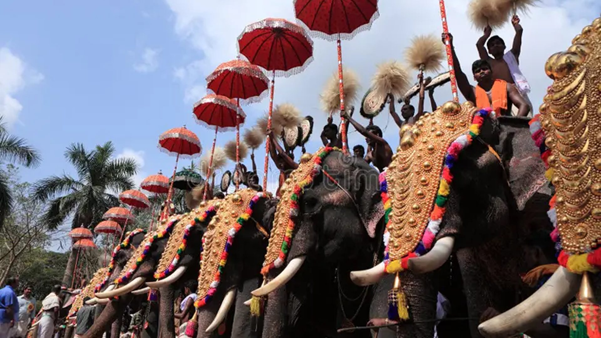 Thrissur Pooram gallery 2