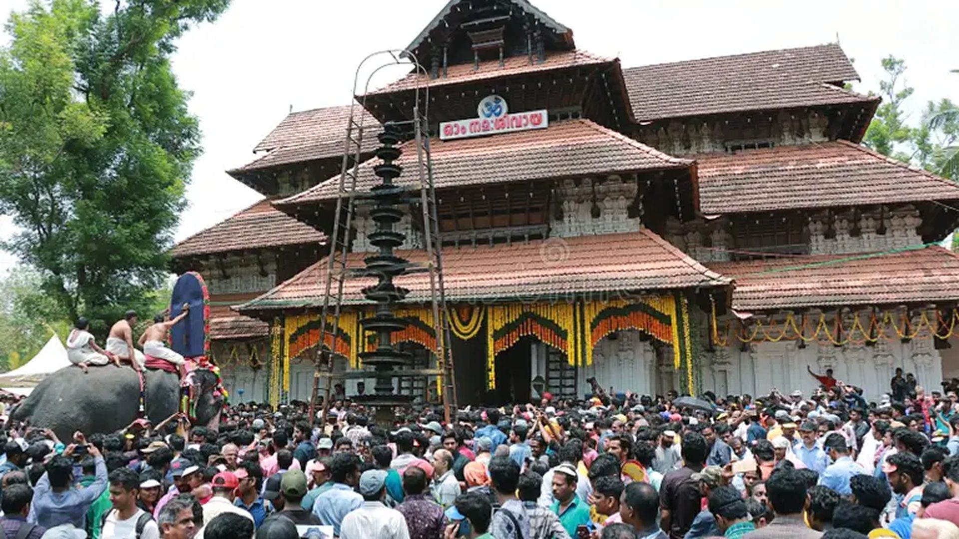 Thrissur Pooram gallery 4