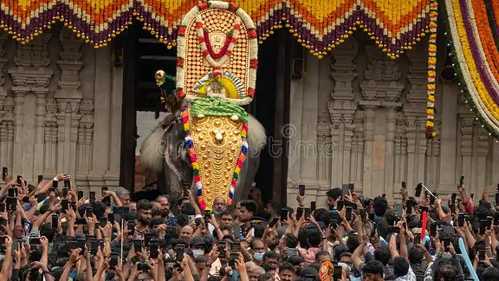 Thrissur Pooram gallery 5