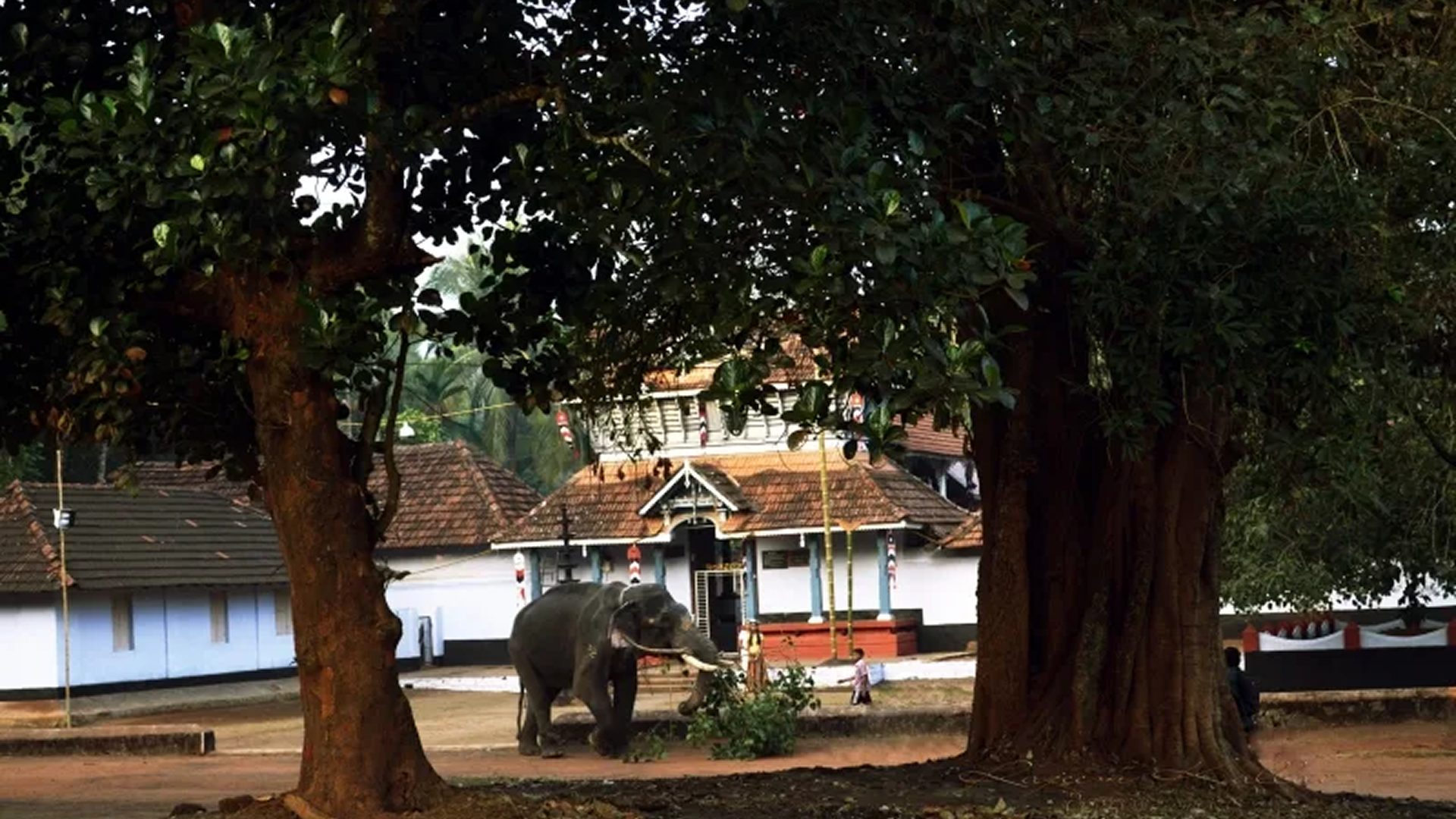 Vettakkorumakan Temple gallery 5