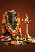 Noorum Palum Ayilya Pooja(Including Nagarootu ritual)