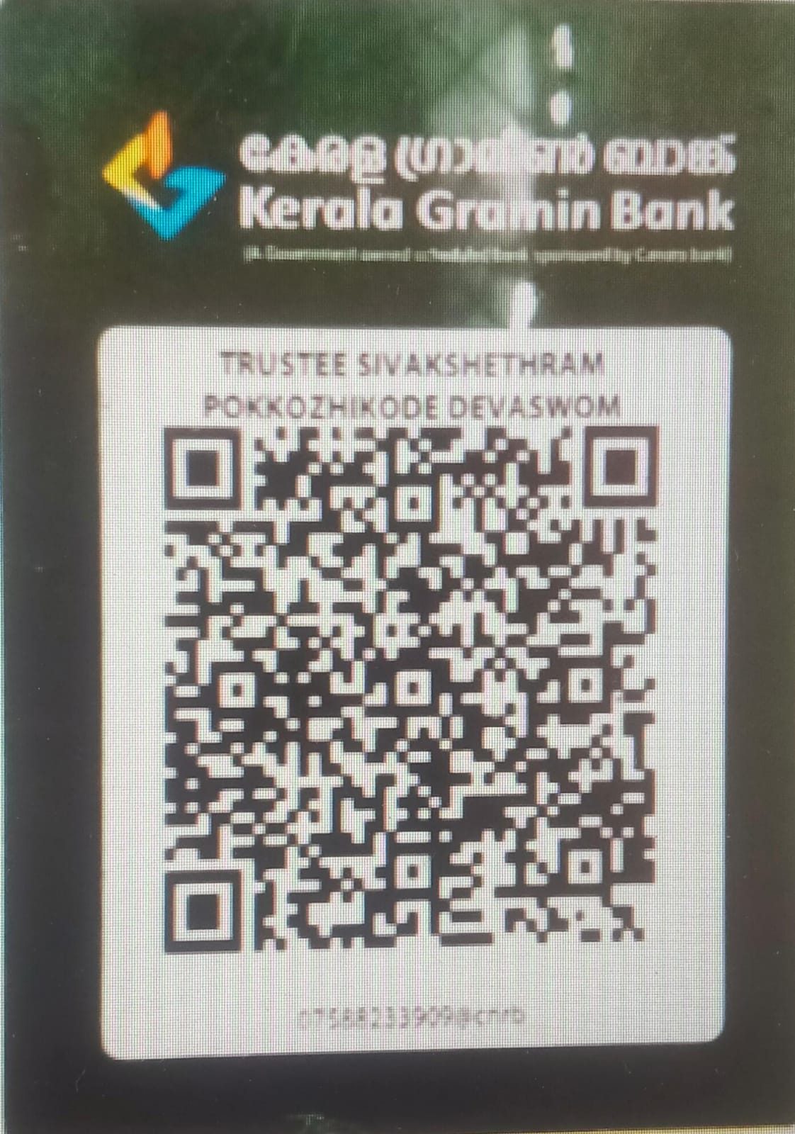 UPI QR Code